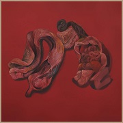 Narcosatanicos: Body Cults