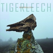 Tigerleech: Bicephalous